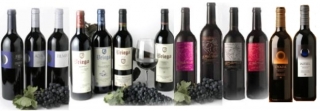  Nos vins 